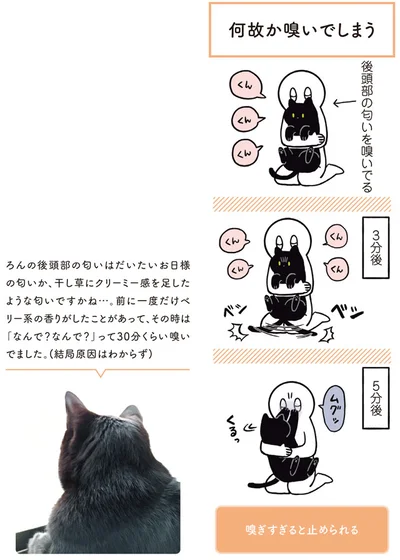 【画像を見る】黒猫ろんと暮らしたら