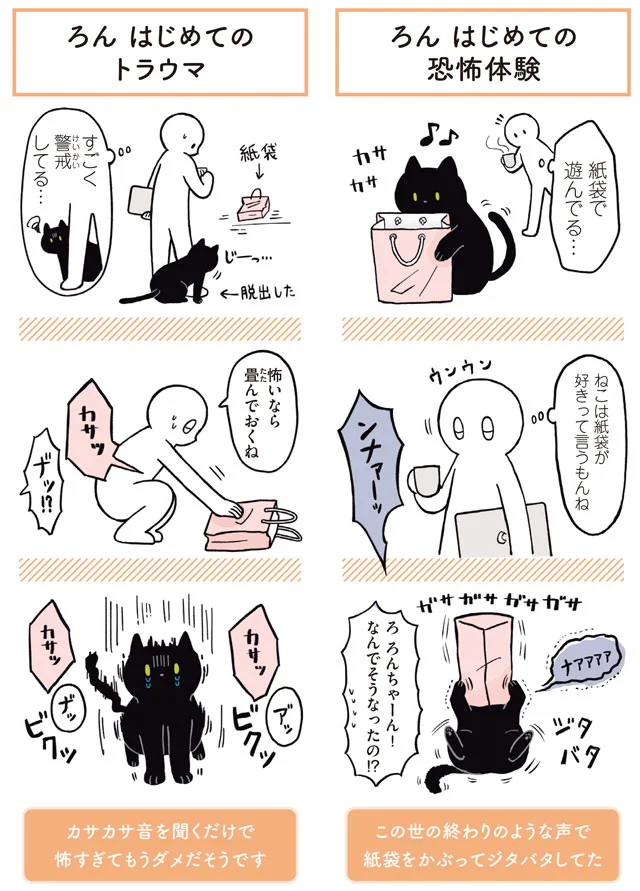 【画像を見る】黒猫ろんと暮らしたら