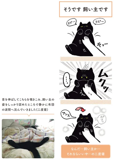 【画像を見る】黒猫ろんと暮らしたら