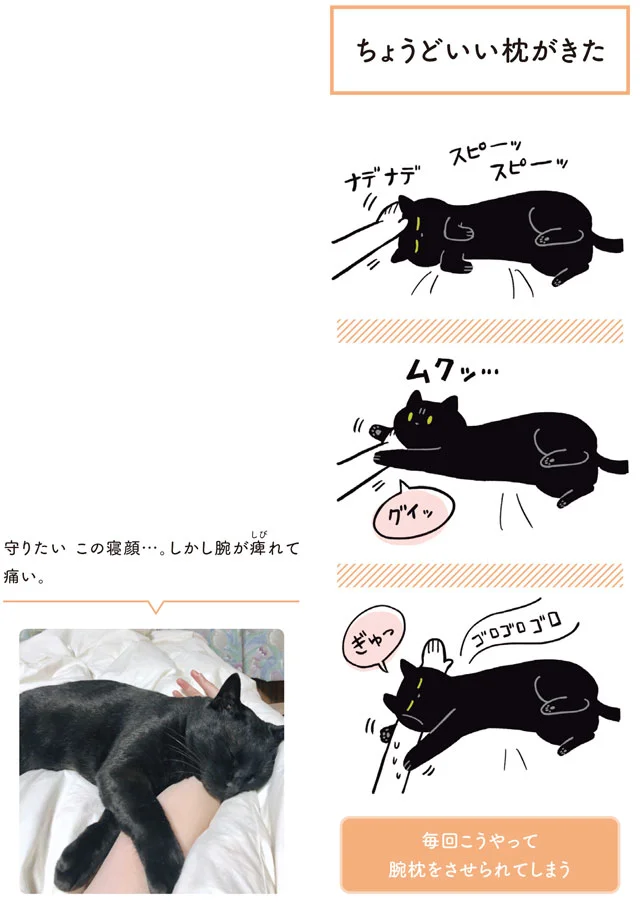 【画像を見る】黒猫ろんと暮らしたら