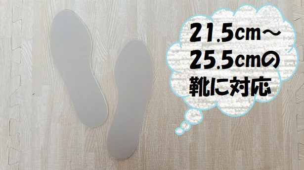 【画像】吸水速乾の珪藻土インソールで靴の中が蒸れ知らず!