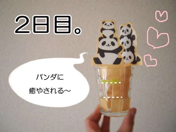 2日目も加湿器大活躍!継続使用します
