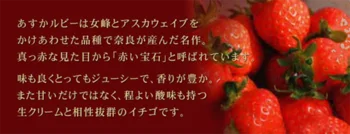 奈良県の名産、「あすかルビー」を生地とクリーム両方に贅沢に使ったロールケーキ。　
