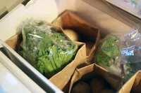 「野菜を冷蔵庫にオシャレに収納する」クラフト袋！？SNSで話題【3COINS】プラスチックより断然気に入ったー！