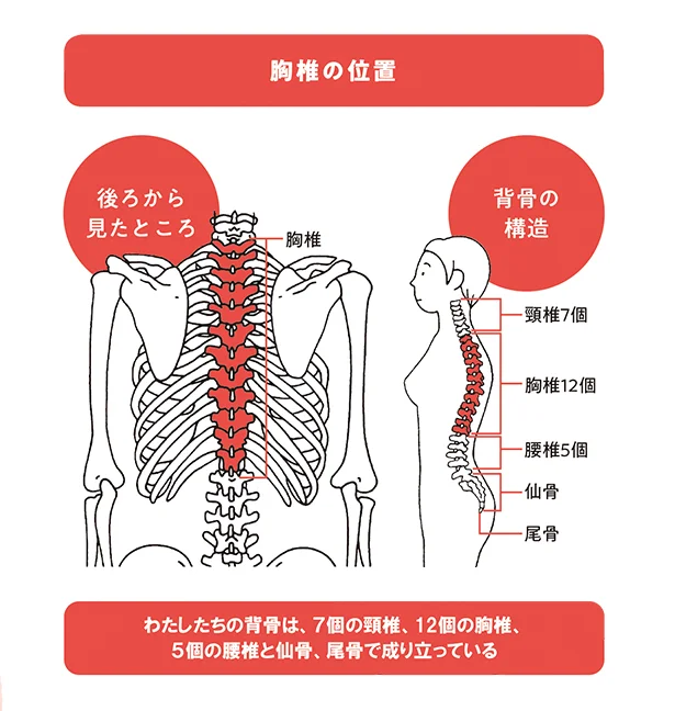 家事や育児は肩こり 首痛を悪化させる 自宅で気軽にできるこり解消法 レタスクラブ