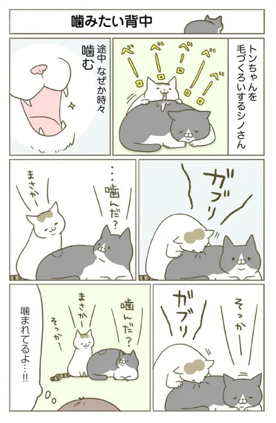 【画像を見る】仲良し毛づくろい