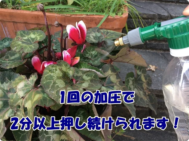 植木鉢の水やりには霧状で