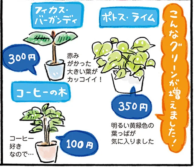 植物で癒される部屋に【おひとりさま年収200万生活3】(6)