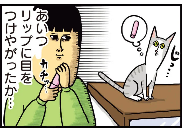 手に入れたい熱がすごい猫 まめきちまめこニートの日常 こまちとタビ 6 レタスクラブ