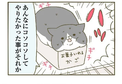 ギッチギチだけど…うちの猫がどうしてもこっそりやりたかったこと