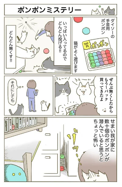 【画像を見る】なくした数十個のポンポンは我が家のどこに…