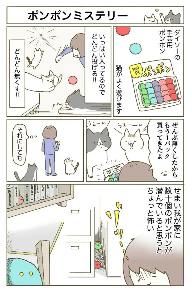 【画像を見る】なくした数十個のポンポンは我が家のどこに…