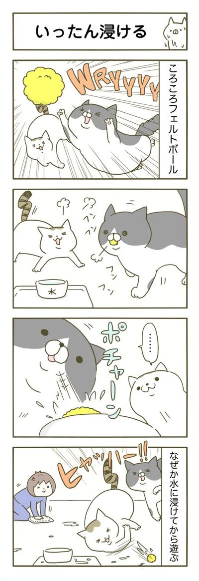 【画像を見る】びしゃびしゃですよ！