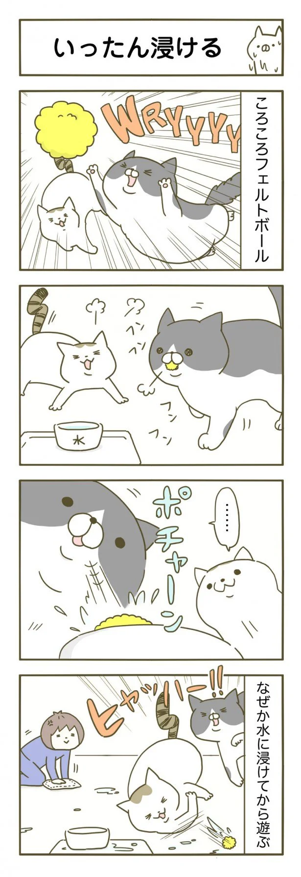 【画像を見る】びしゃびしゃですよ！