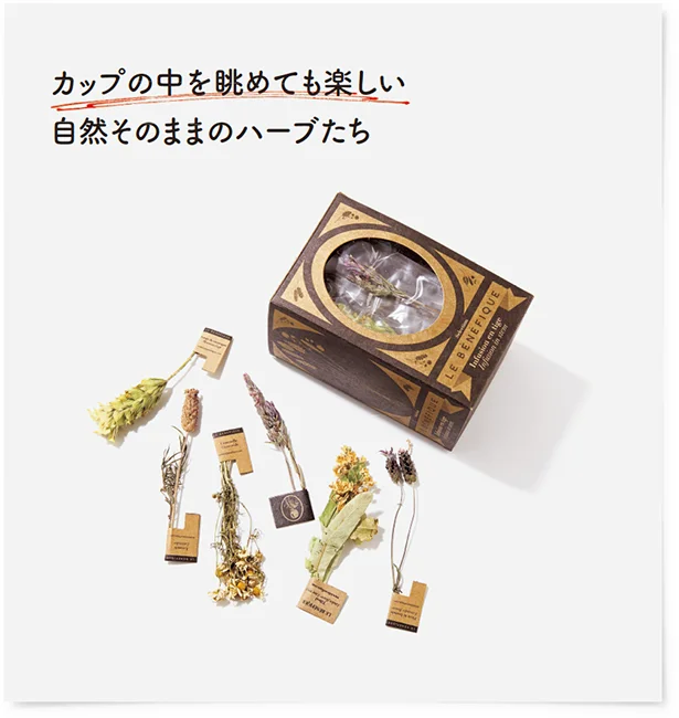 カップの中を眺めても楽しい自然そのままのハーブたち 6種×3本入り 4,500円/kusakanmuri 