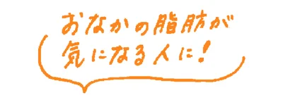 おなかの脂肪が気になる人に！