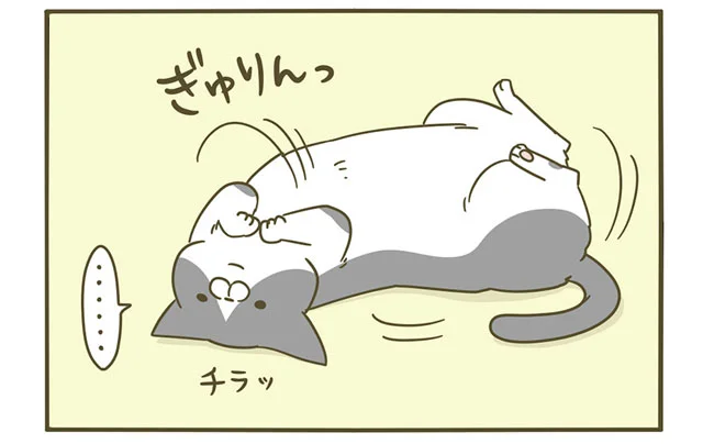 こと な の うち てる 猫 が また 変 し