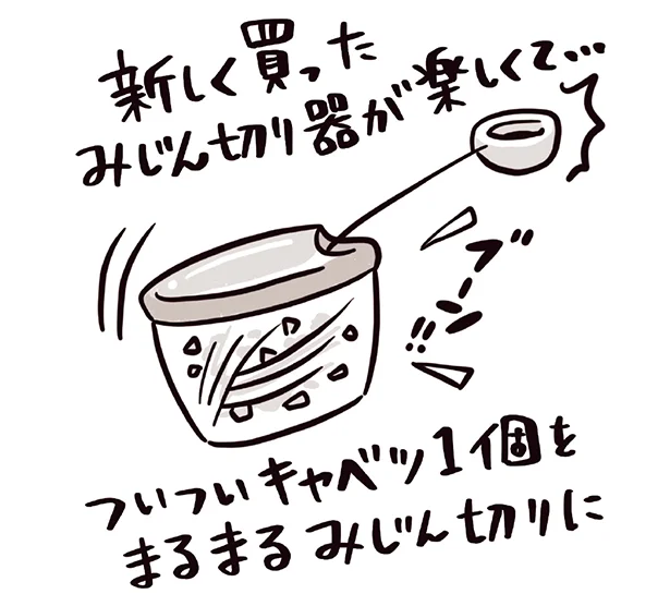 新しく買ったみじん切り器が楽しくて… ついついキャベツ1個をまるまるみじん切りに。