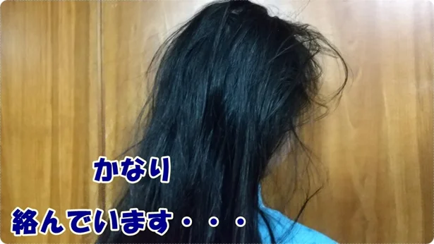 「立体ヘアブラシ」を使う前はかなりからんでいます