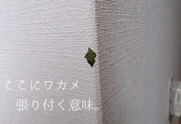 【画像】ワカメが壁に!これなら床に落としてくれた方がマシ