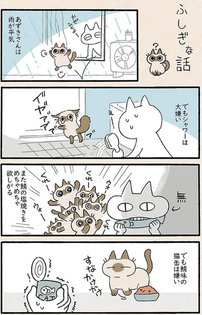 【画像を見る】何が好きで何が嫌い…？