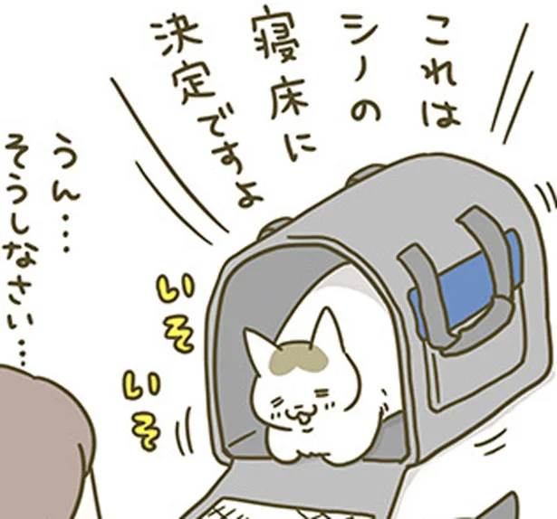 NEWアイテムは要チェック うちの猫がまた変なことしてる。3(4