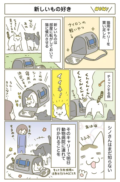 【画像を見る】嬉しそうな姿に罪悪感