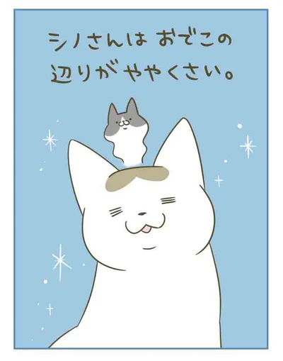 シノさんのくさいポイント