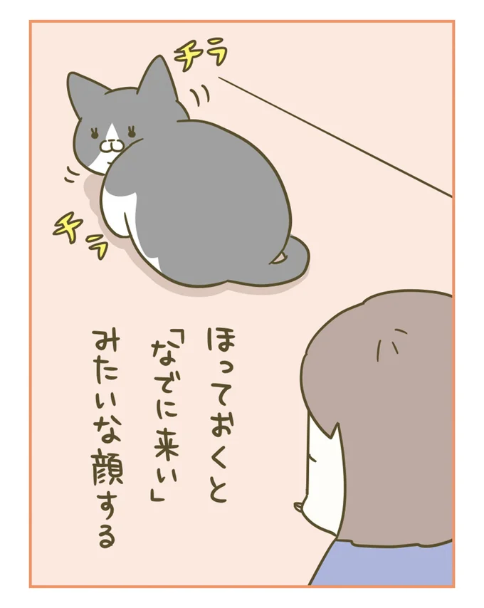 チラ見してくる