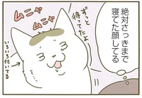 うそ、絶対寝てたでしょ!?　うちの猫がまた変なことしてる。3(12)