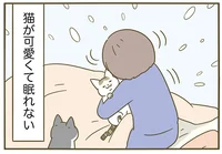 眠れない、起きられもしない　うちの猫がまた変なことしてる。3(14)