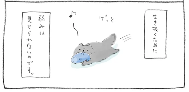 ボス猫さん　さちうすい犬のしっぽふりり日記(2)
