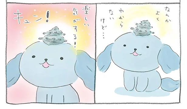 サザエの貝殻　さちうすい犬のしっぽふりり日記(5)