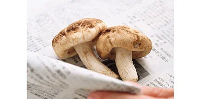  【画像を見る】新聞紙で包んで保存