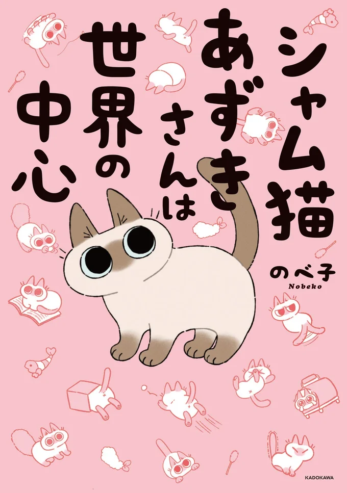 怒りながら遊ぶあずきさん シャム猫あずきさんは世界の中心 5 画像6 6 レタスクラブ