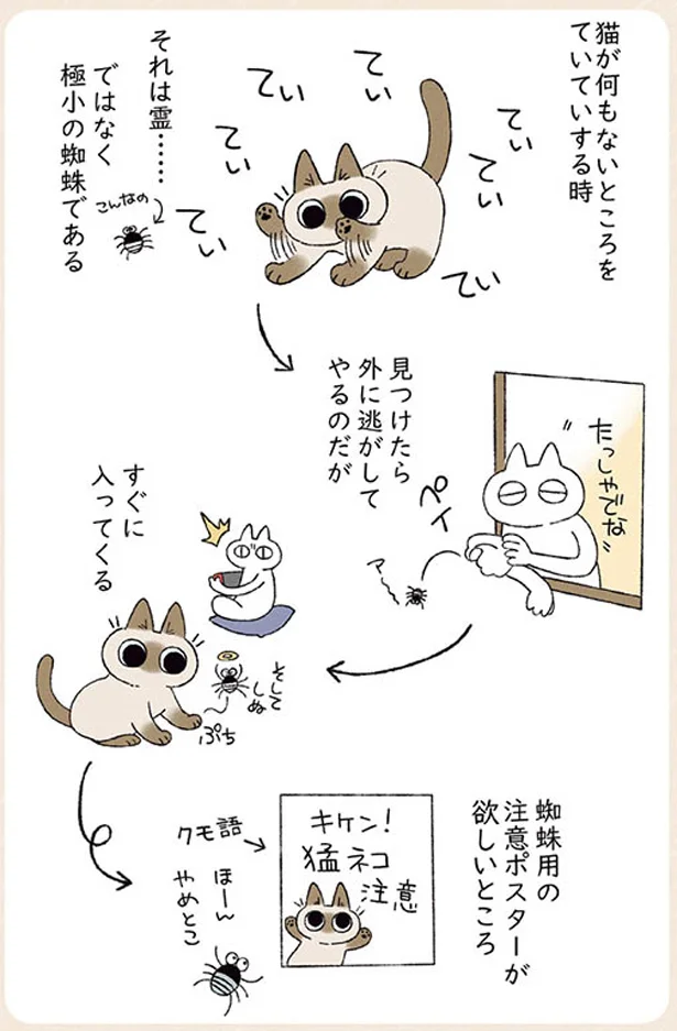 猛ネコ注意！