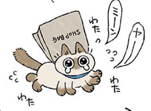 あずきさんはこりないタイプ　シャム猫あずきさんは世界の中心（7）