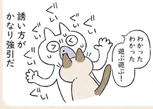 誘い方がかなり強引 シャム猫あずきさんは世界の中心 8 レタスクラブ