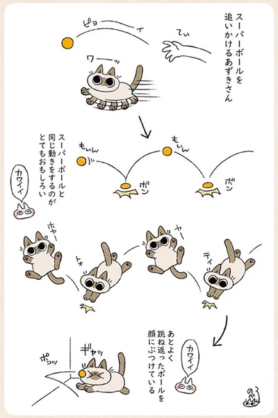 同じ動きで追いかける♪