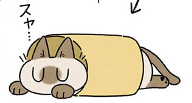 トンネルブームで眠くなる　シャム猫あずきさんは世界の中心（10）