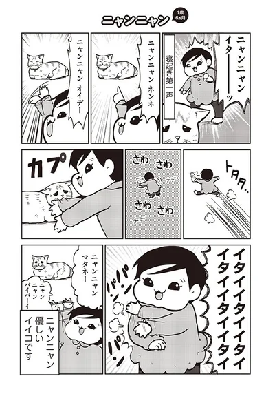 【画像を見る】