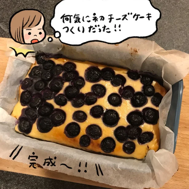 ダイエット中も食べたい 低カロ食材で濃厚スティックチーズケーキ作ってみた 画像6 6 レタスクラブ