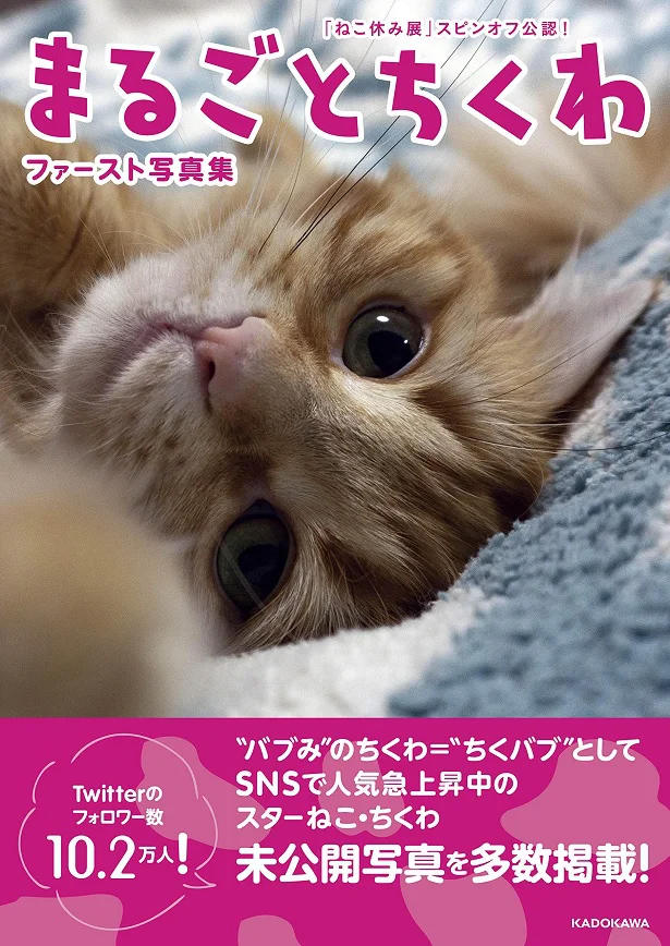 「ねこ休み展」スピンオフ公認! まるごとちくわ ファースト写真集