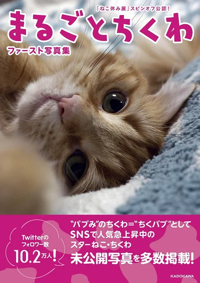  「ねこ休み展」スピンオフ公認! まるごとちくわ ファースト写真集