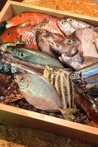 マイナー魚として外されてしまう魚たちの、秘められた美味しさを学ぶ