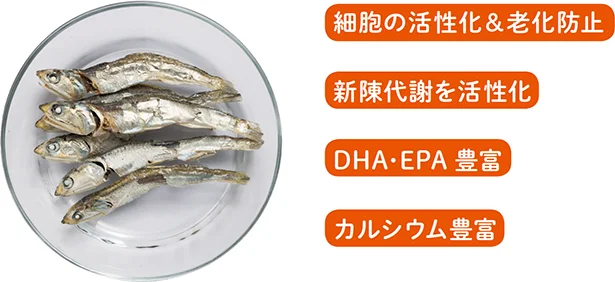 煮干しはイノシン酸、DHA、EPA のトリプル効果で老化を防止し若々しく