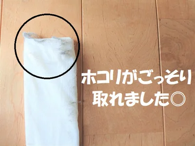 ホコリがごっそり取れました