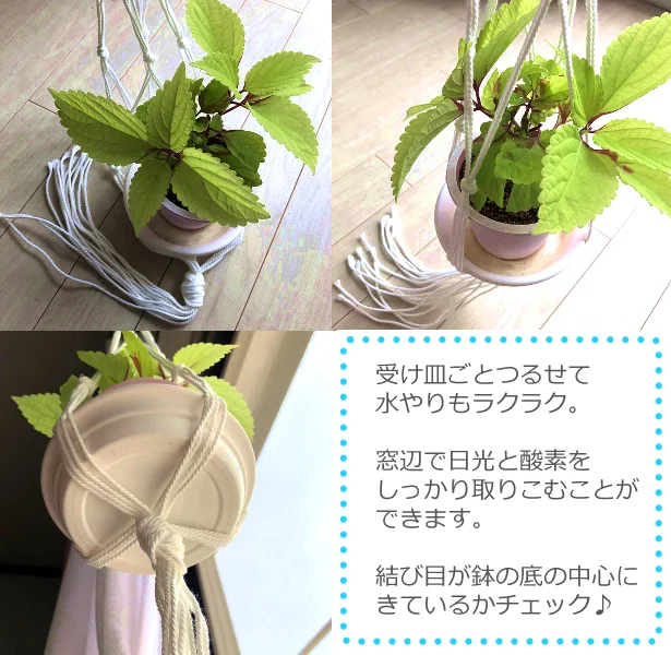 ダイソー プランタ ハンガー で窓辺に植物をつるすだけ 部屋の雰囲気が一気に変わる レタスクラブ