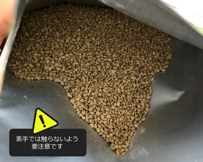 ぱっと見はふつうの黄土色の砂のよう