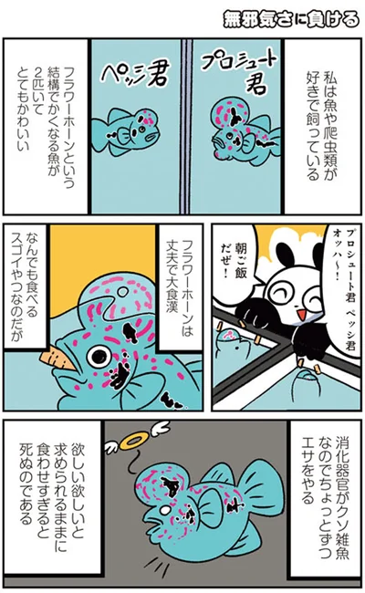 【画像を見る】猫パン日記